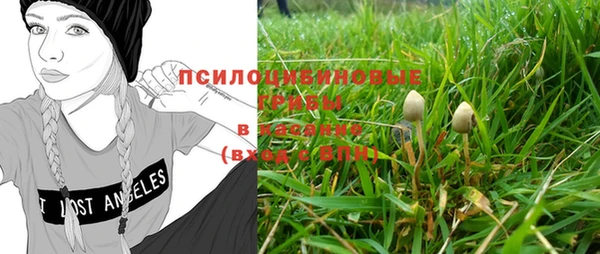 стафф Куйбышев