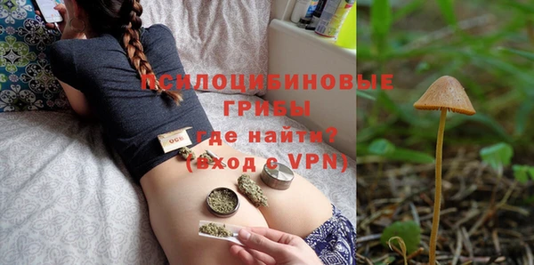 стафф Куйбышев