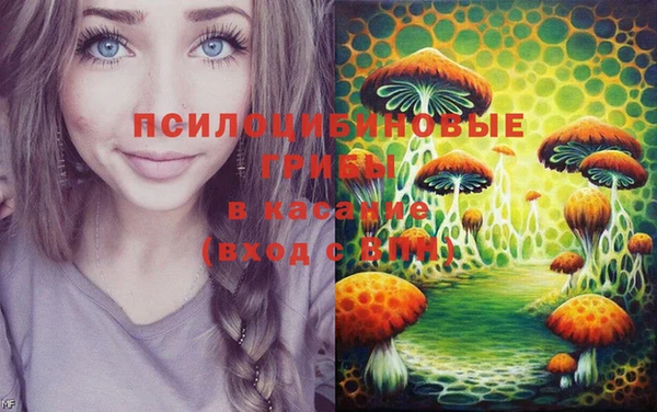 mdma Кукмор