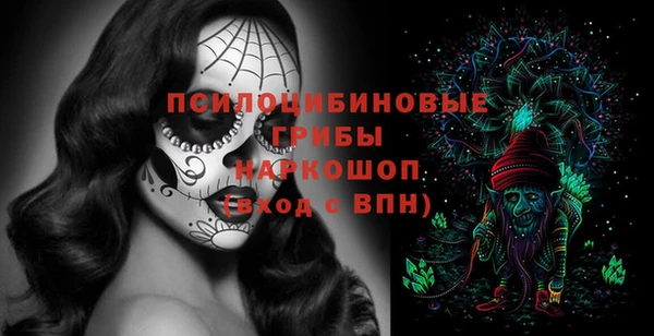 дмт Ладушкин
