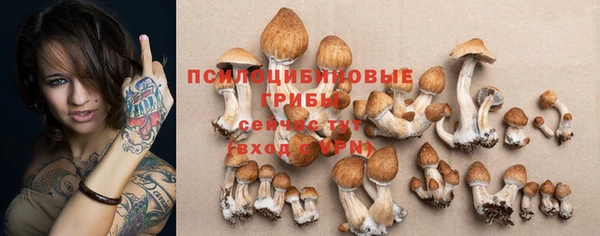 дмт Ладушкин